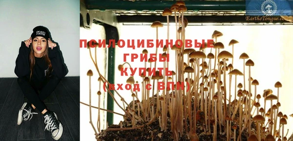 скорость Абаза