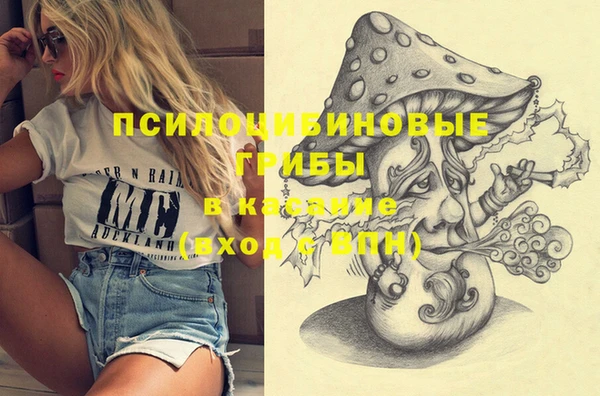 наркотики Алексин