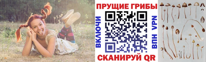 Галлюциногенные грибы ЛСД  omg зеркало  Искитим 