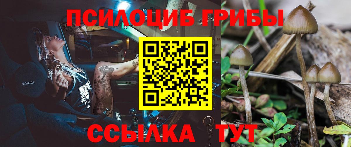 Псилоцибиновые грибы GOLDEN TEACHER Искитим